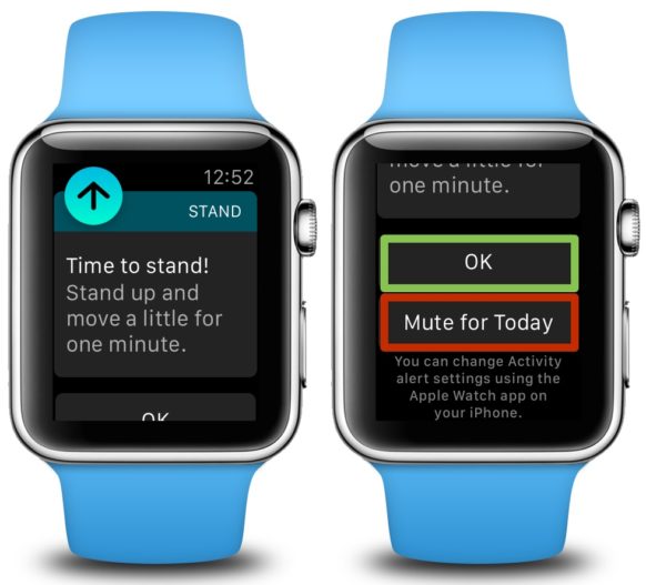 How To Mute (or UnMute) the Stand Notification on Your Apple Watch