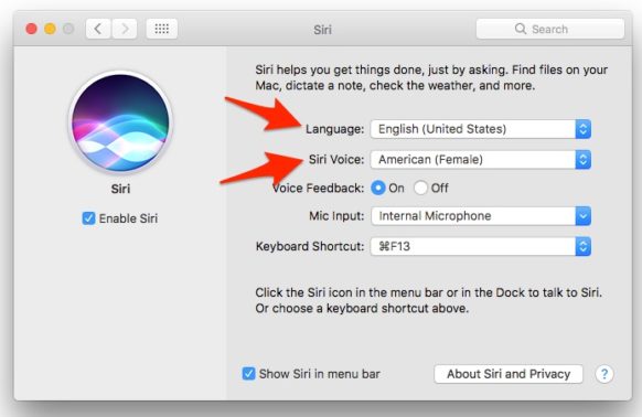 How to Change the Language, Gender, or Accent of Siri on Your Mac