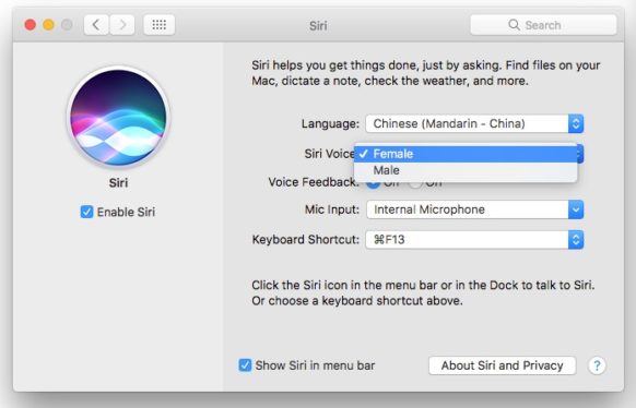 How to Change the Language, Gender, or Accent of Siri on Your Mac