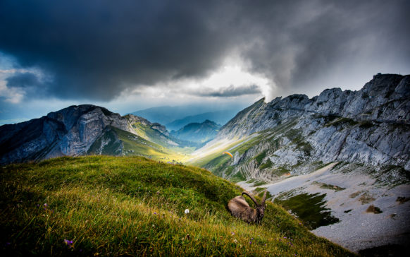 mac_wallpaper_mount_pilatus_switzerland