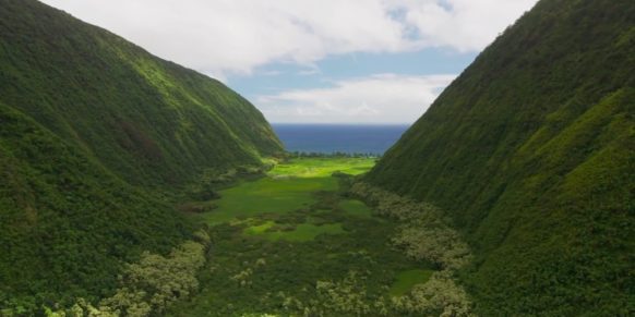 hawaii valley