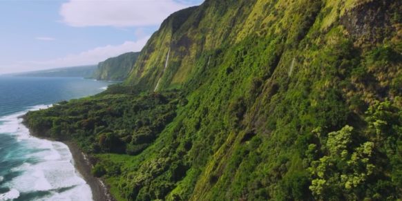 hawaii tropical coast