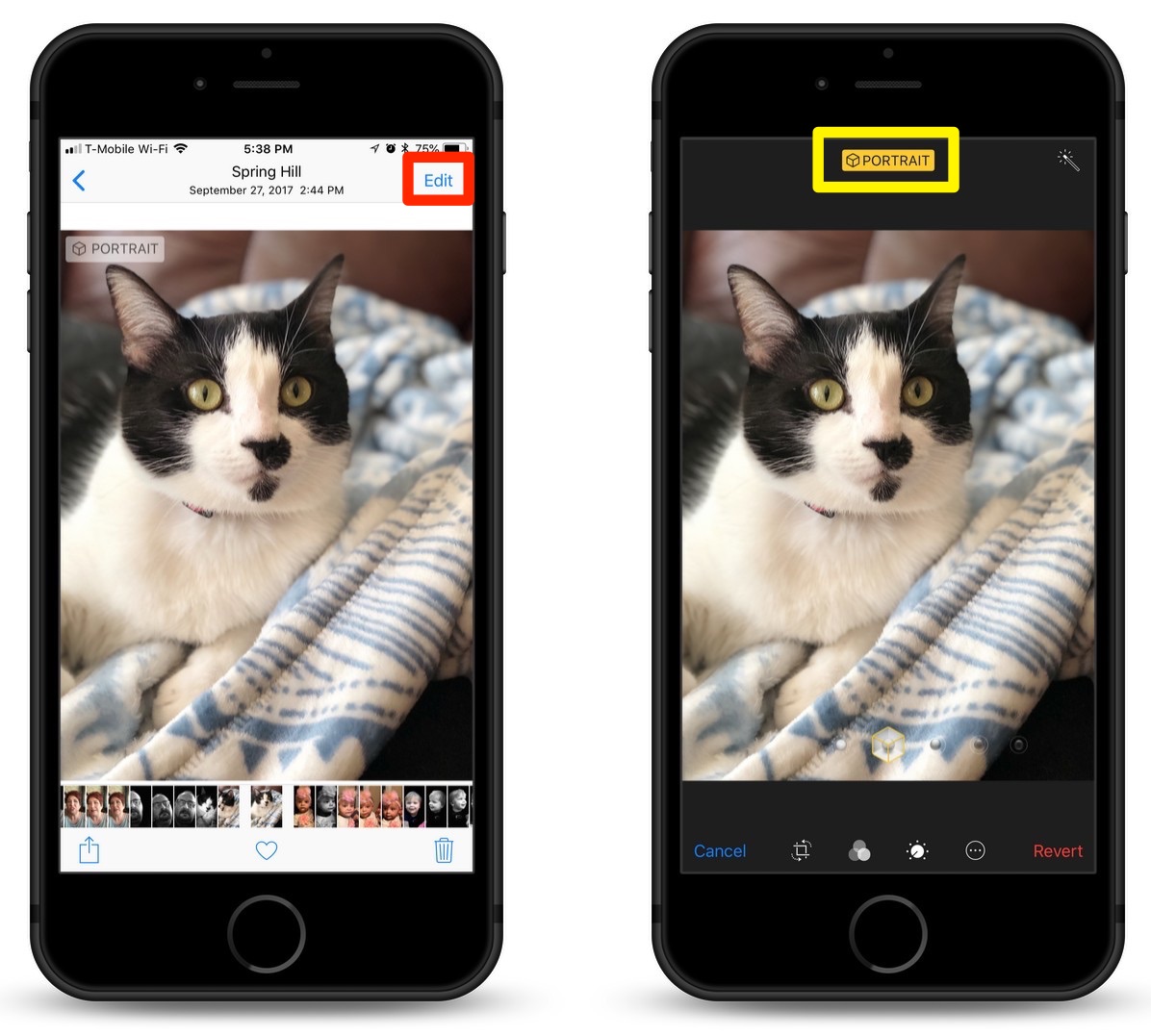 How To Turn Off or Adjust Portrait Mode on a Saved Photo on Your iPhone