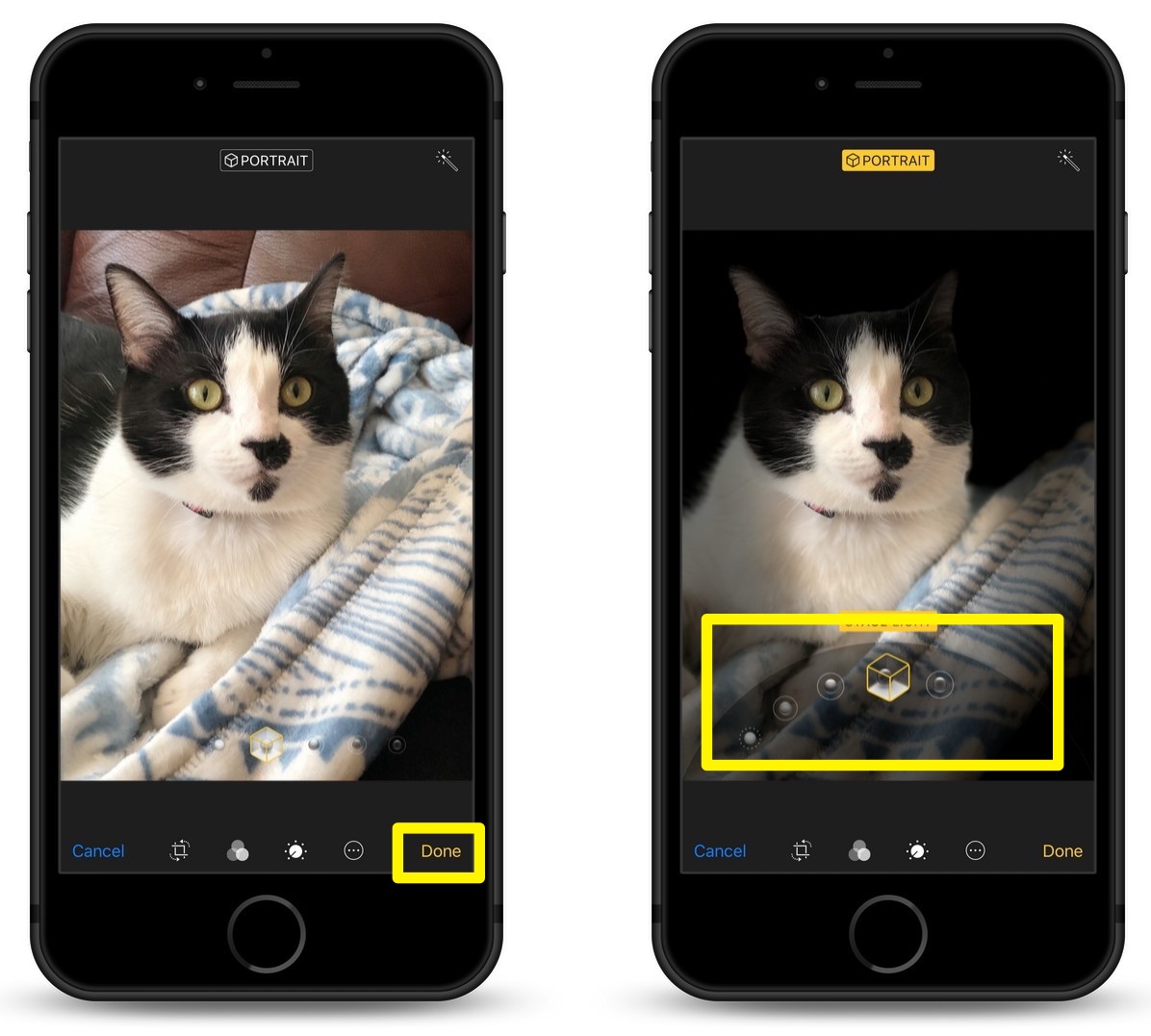 How To Turn Off or Adjust Portrait Mode on a Saved Photo on Your iPhone