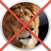 No Turning Back: Apple Yanks OS X Lion From the Mac App Store