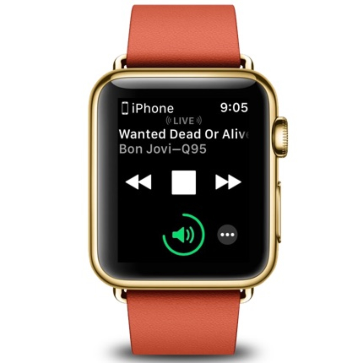 music controls on apple watch