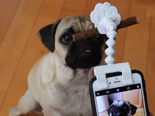 MacTrast Deals: Adjustable Pet Selfie Smartphone Attachment