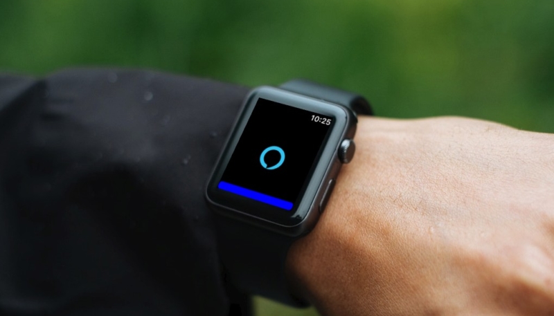 Tired of Siri? Get Alexa on Your Apple Watch With ‘Voice in a Can’