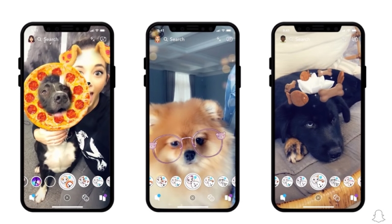 Snapchat Adds Lenses Designed for Dog Selfies