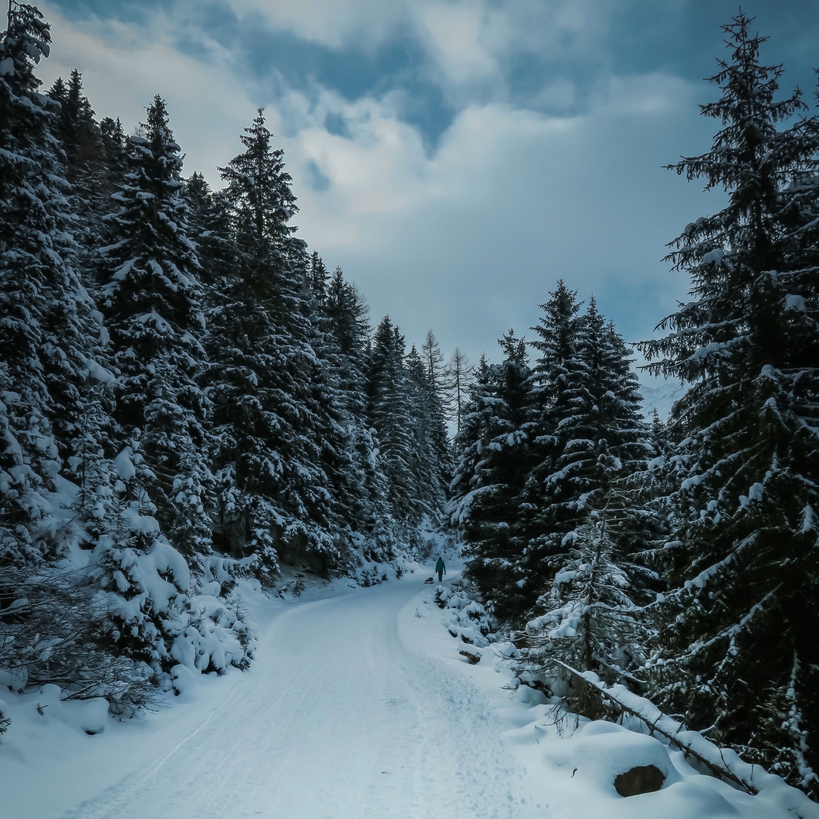 Wallpaper Weekends: Winter Wonderland Wallpapers for iPhone and iPad