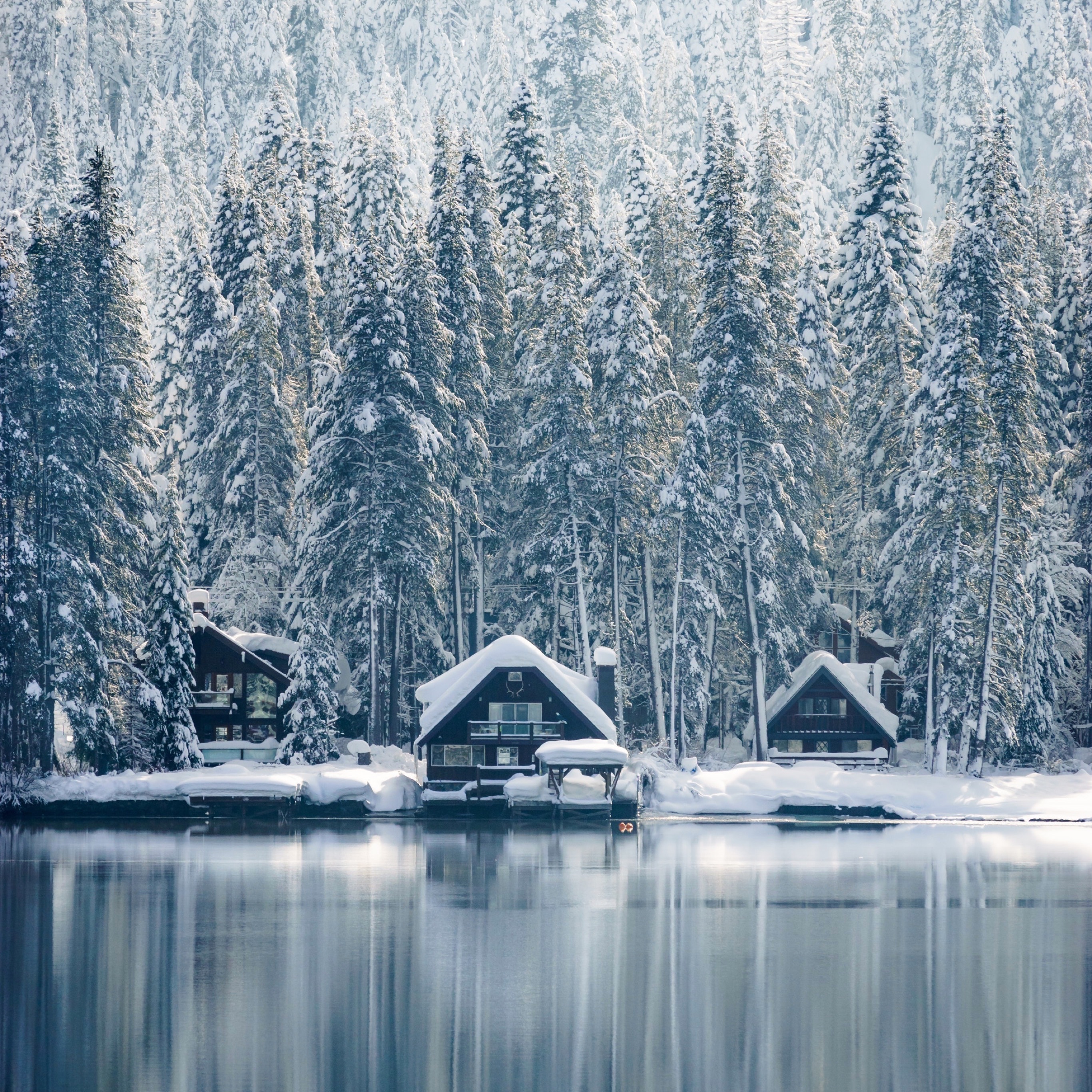 Wallpaper Weekends: Winter Wonderland Wallpapers for iPhone and iPad