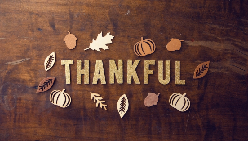 Happy Thanksgiving Day to Our Readers in the United States!