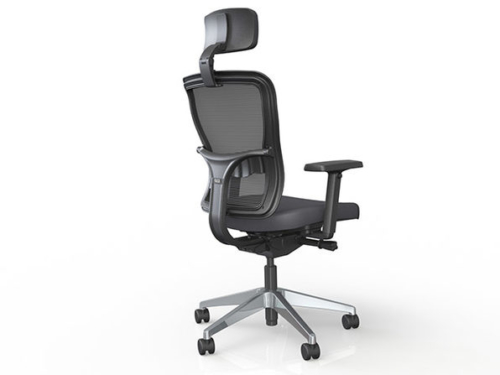 Yaasa Ergonomic Office Chair