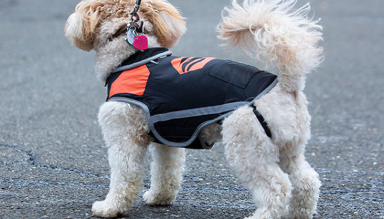 5V Rechargeable Waterproof Heated Dog Vest