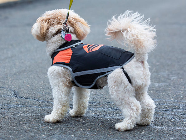 MacTrast Deals: 5V Rechargeable Waterproof Heated Dog Vest
