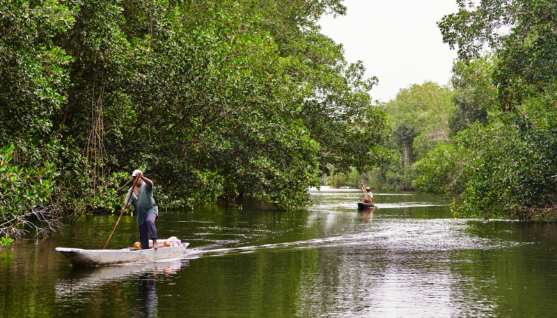 Apple Launches $200 Million Restore Fund to Accelerate Natural Solutions to Climate Change