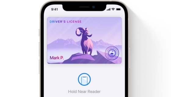 iOS 15 - Digital ID