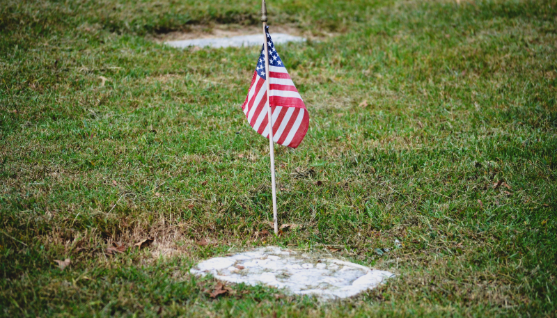 Happy Memorial Day 2022 to Our U.S. Readers from MacTrast!