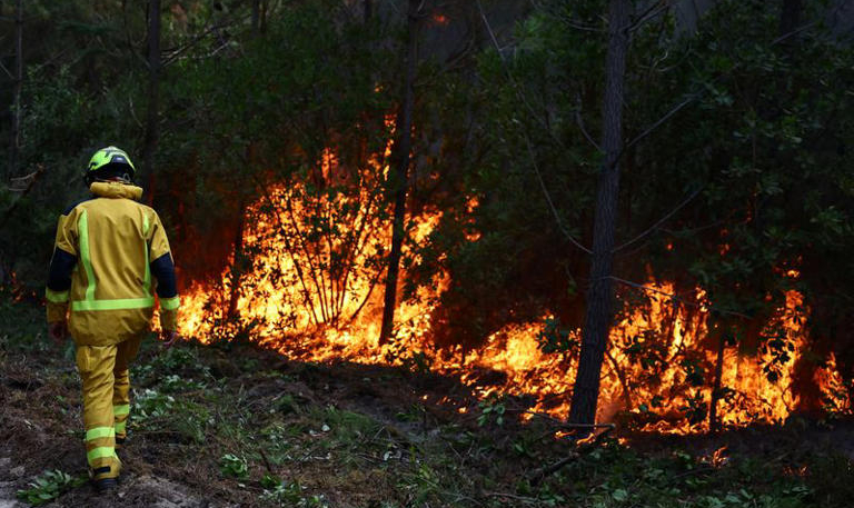 Apple Donating to European Wildfire Red Cross Relief Efforts